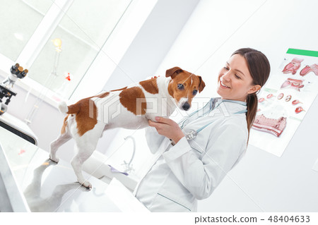 Professional woman toothy smiling and hugging dog 48404633