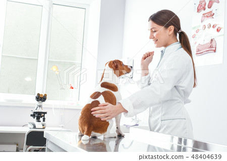 Attractive woman wearing white bathrobe, stroke dog and toothy smiling 48404639