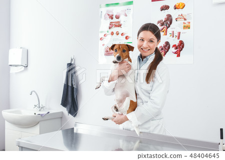 Handsome woman toothy smiling and hugging dog 48404645