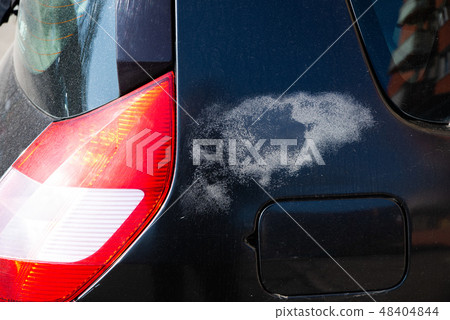 close up on defective varnish in the car 48404844