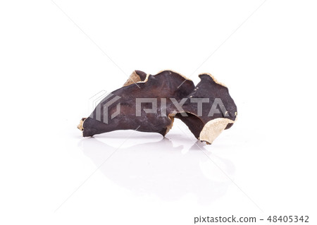 Dry black mushroom jew ear isolated on white 48405342