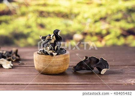 Dry black mushroom jew ear with forest behind 48405482