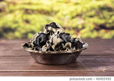 Dry black mushroom jew ear with forest behind Dry black mushroom jew ear with forest behind 48405495
