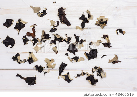 Dry black mushroom jew ear on grey wood Dry black mushroom jew ear on grey wood 48405519