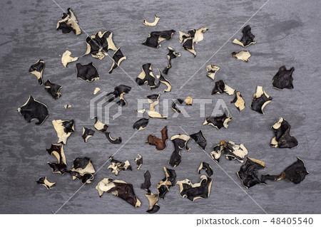 Dry black mushroom jew ear on grey stone Dry black mushroom jew ear on grey stone 48405540