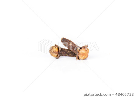 Small dried cloves spice isolated on white 48405738
