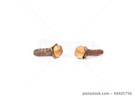 Small dried cloves spice isolated on white 48405756
