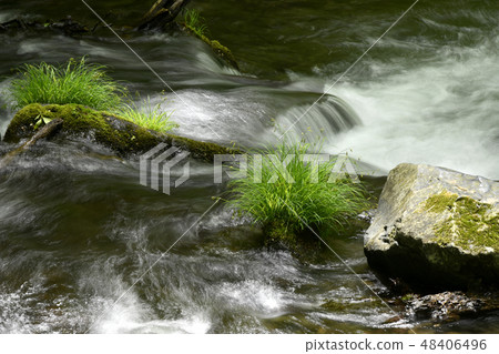 Mountain stream 48406496