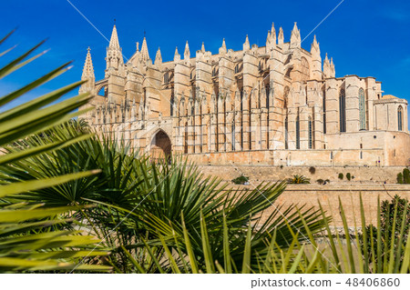 Palma Cathedral La Seu Palma de Mallorca 48406860