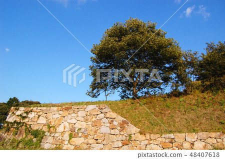 Tsukiyama Tomita Castle 100大城堡 48407618