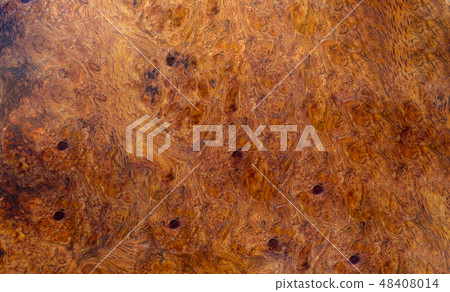 Real burl wood background texture Real burl wood background texture 48408014
