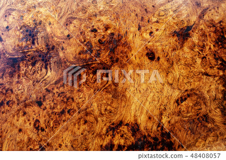 Real burl wood background Real burl wood background 48408057