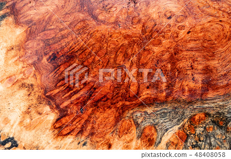 Real burl wood background Real burl wood background 48408058