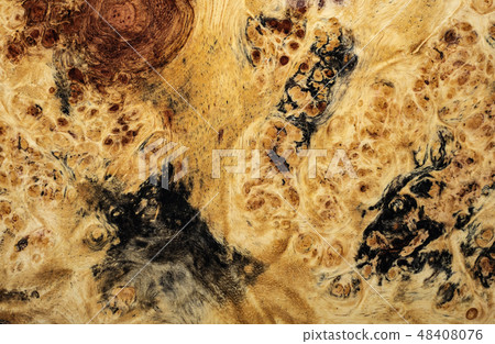 Real burl wood background Real burl wood background 48408076