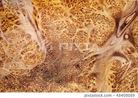 Real burl wood background Real burl wood background 48408089