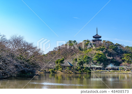 Sankeien Garden (Naka-ku, Yokohama, Honmoku) 48408573