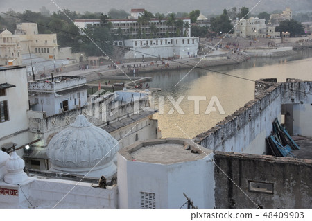 Indian Pushkar Beautiful Pushkar Lake and Hamanno · Langur of a monkey standing on the rooftop of the cityscape dwelling 48409903