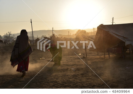 A group of camels gathered in the Indian Pushkar Desert Sweeping the front of the tent Camel using women beautiful sunrise A group of camels gathered in the Indian Pushkar Desert Sweeping the front of the tent Camel using women beautiful sunrise 48409964