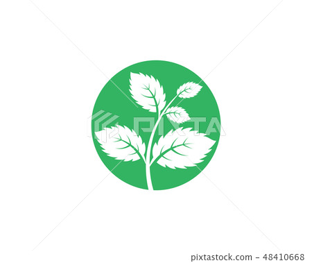 Mint leaves flat vector icon design 48410668
