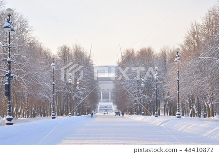 Park alley at winter. 48410872