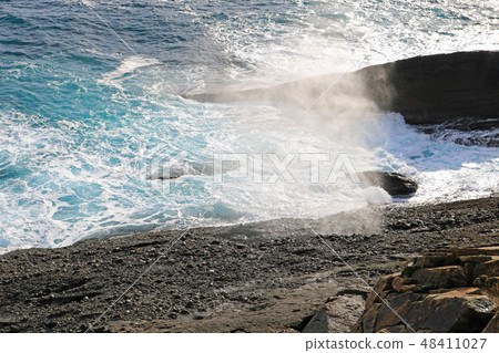 Sakiyama's Sakibukibori (Miyako City, Iwate Prefecture) 48411027