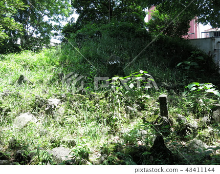 Shimodani Sakamoto的Fujimuka在台東區的小野Terrasaki神社 48411144
