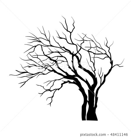 vector silhouette of Tree isolated on the white vector silhouette of Tree isolated on the white 48411146