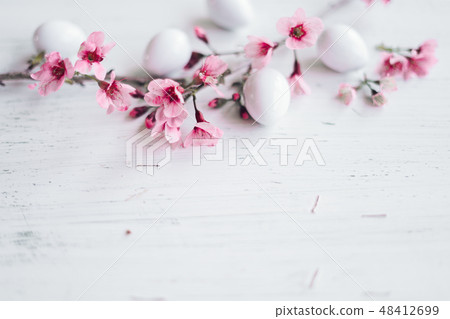 Spring blossom pink flowers In the glass And white Spring blossom pink flowers In the glass And white 48412699