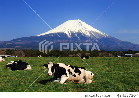 World Heritage Mt. Fuji Morning Neighborhood Ranch Road Station 48412720
