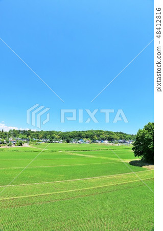 Summer blue sky vast rural landscape Summer blue sky vast rural landscape 48412816
