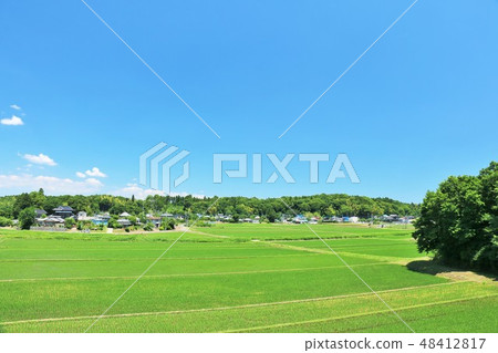Summer blue sky vast rural landscape Summer blue sky vast rural landscape 48412817