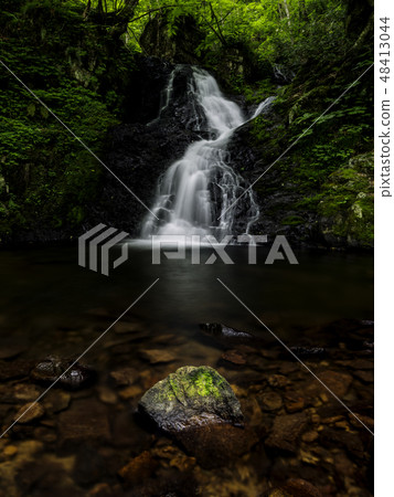 Iwaso和Samrano瀑布Utsu河山崎秋天（岐阜） 48413044