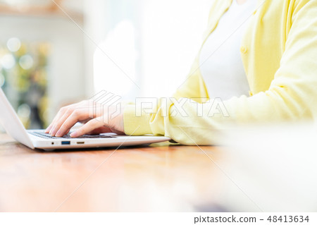 Young lady handling personal computer Internet girls lifestyle female portrait 48413634