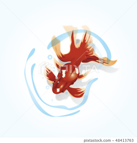 Goldfish red 48413763