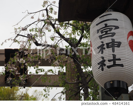 Ninomiya Shrine Ninomiya Shrine 48414161