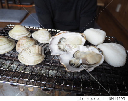 海灘喙 海灘喙 48414395