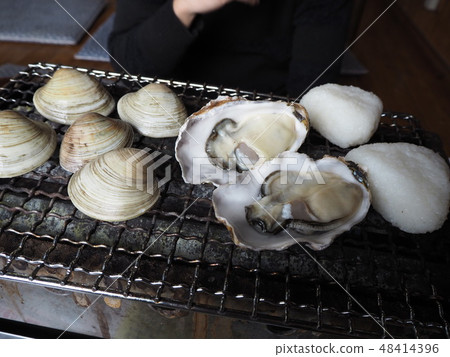 海灘喙 海灘喙 48414396