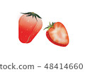 Strawberry 48414660
