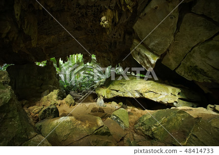 The famous Ancient forest Hup Pa Tat. The famous Ancient forest Hup Pa Tat. 48414733