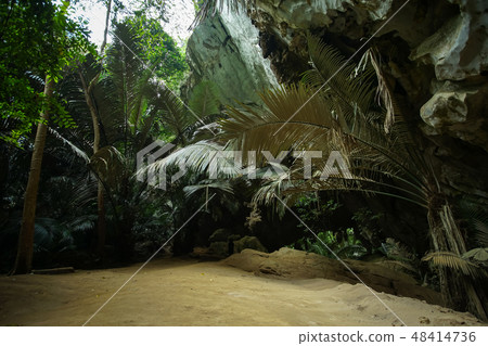 The famous Ancient forest Hup Pa Tat. 48414736
