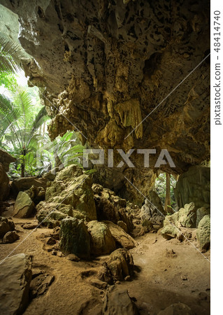 The famous Ancient forest Hup Pa Tat. The famous Ancient forest Hup Pa Tat. 48414740
