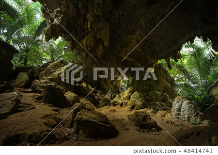 The famous Ancient forest Hup Pa Tat. The famous Ancient forest Hup Pa Tat. 48414741