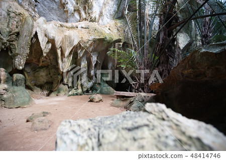 The famous Ancient forest Hup Pa Tat. The famous Ancient forest Hup Pa Tat. 48414746