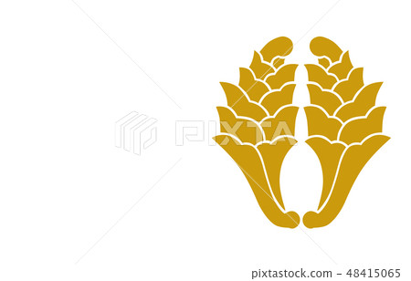 Warrior Crest Crest大友索林 48415065