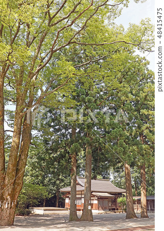 大山神社前台公司平台 48415475