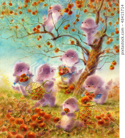 Persimmon capture 48415714