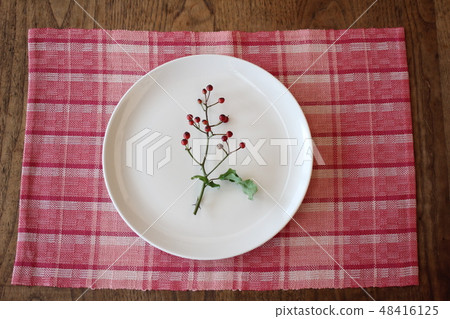 午餐墊和白盤子 48416125