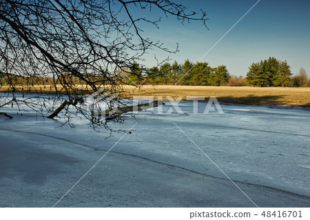 Frozen branch of the Bug river Frozen branch of the Bug river 48416701