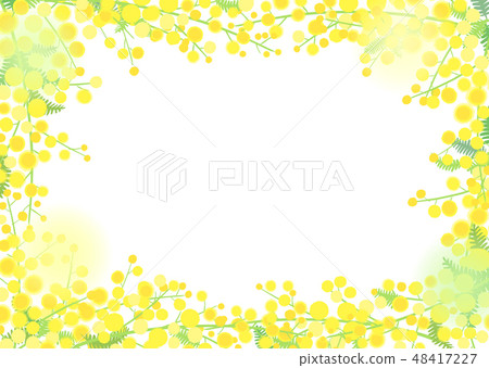 含羞草背景 48417227