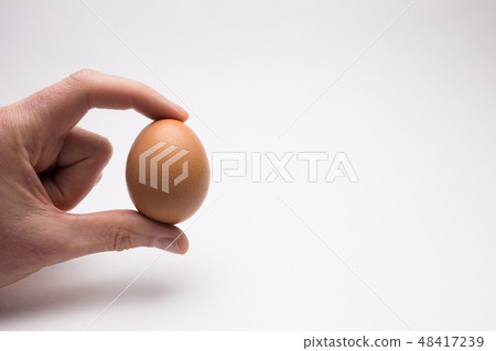 Male hand holding a chicken egg on a white background 48417239